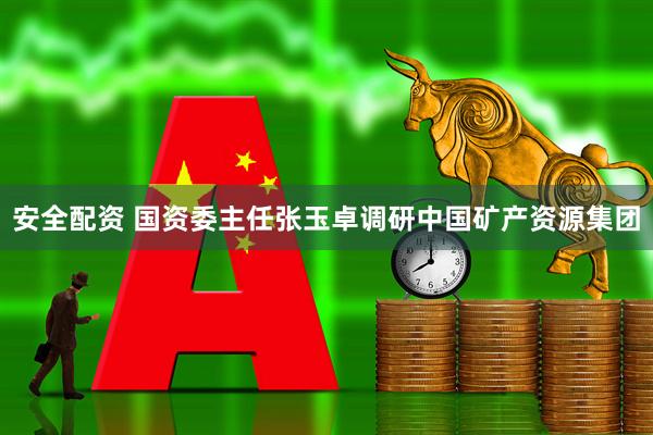 安全配资 国资委主任张玉卓调研中国矿产资源集团