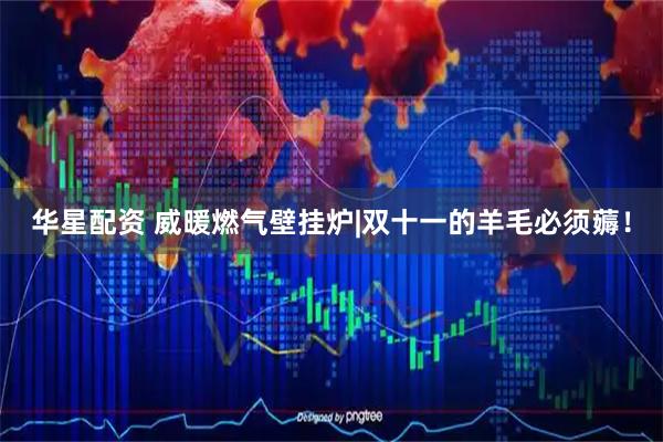 华星配资 威暖燃气壁挂炉|双十一的羊毛必须薅！