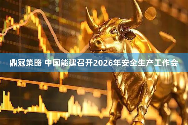 鼎冠策略 中国能建召开2026年安全生产工作会